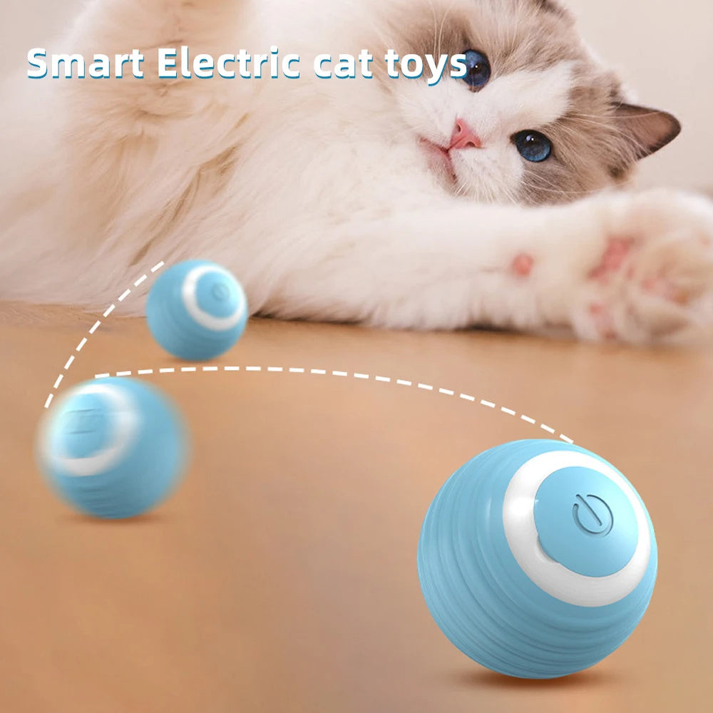  Toys Electronic Interactive
