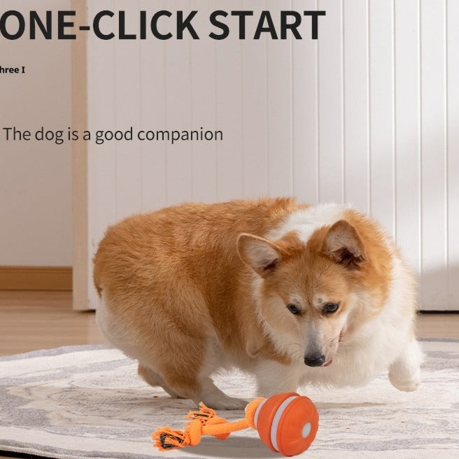 Interactive Rolling Ball Pet Toy – USB Rechargeable for Dogs & Cats
