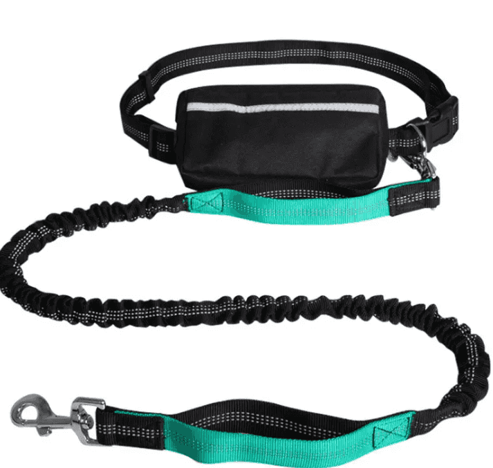Hands-Free Reflective Dog Lead | Retractable, Ex...

