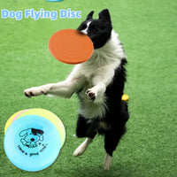 Silicone Flying Saucer Funny Pets Toy