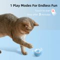 Toys Electronic Interactive Cat Interactive Ball Smart