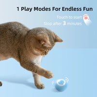  Toys Electronic Interactive