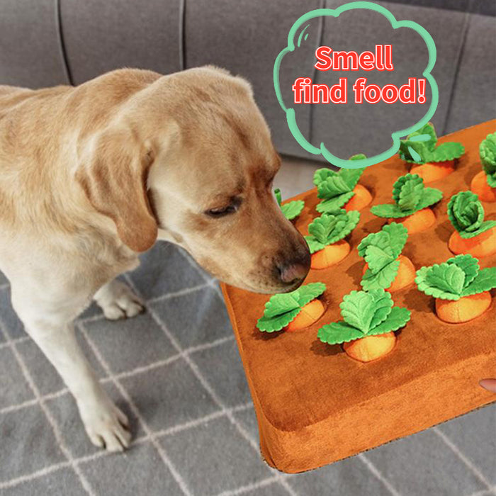 Pet Dog Toys Carrot Plush Toy Language