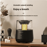 Flame Aromatherapy Humidifier

