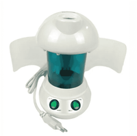 Ionic Face Steamer